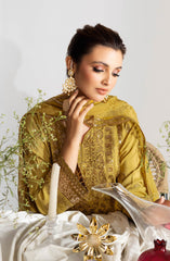 Ramsha Aangan Luxury Rawsilk Collection Vol 01 D-102