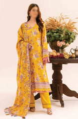 Aafreen Embroidered Karandi Collection By Riaz Arts D-134