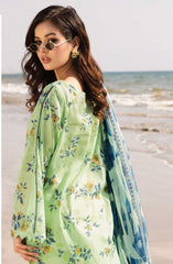 Afreen Embroidered Laser Cut Lawn Collection 2025 By Riaz Arts D-177