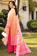 Aafreen Chunnri by Riaz Arts Lawn Summer Collection 2025 D-198