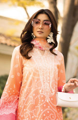 Aafreen Chunnri by Riaz Arts Lawn Summer Collection 2025 D-198