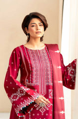 Aaina by Bin Ilyas Unstitched Lawn Summer Collection 2025 D-84A