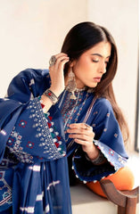 Aaina by Bin Ilyas Unstitched Lawn Summer Collection 2025 D-84B