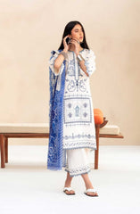 Aaina by Bin Ilyas Unstitched Lawn Summer Collection 2025 D-85B