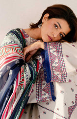 Aaina by Bin Ilyas Unstitched Lawn Summer Collection 2025 D-86A