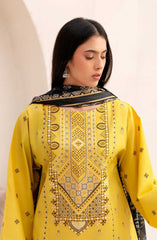 Aaina by Bin Ilyas Unstitched Lawn Summer Collection 2025 D-86B