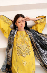 Aaina by Bin Ilyas Unstitched Lawn Summer Collection 2025 D-86B