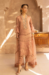 Merakish Zunairi Raw Silk Hand Work Embellished Collection D-01 Camel