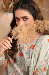 Meheroon by Tawakkal Fabrics Unstitched Lawn Summer Collection 2025 D-1108