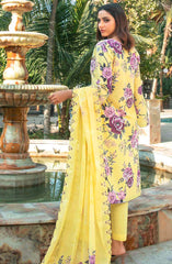 Suleika by Tawakkal Fabrics Lawn Summer Collection 2025 Vol-03 D-1243