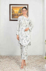 NADA Stitched Digital Printed Lawn 2-piece Collection 2024 D-3375