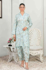 NADA Stitched Digital Printed Lawn 2-piece Collection 2024 D-3383