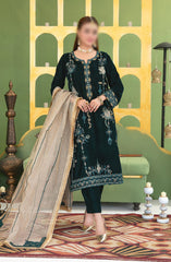 Esmeray - Fancy Heavy Embroidered Velvet Collection EFHE 24 D-3690