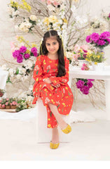 Nanhi Saheli Stitched Kids 2 Pcs Collection Vol 01 D-3811