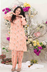 Nanhi Saheli Stitched Kids 2 Pcs Collection Vol 01 D-3813