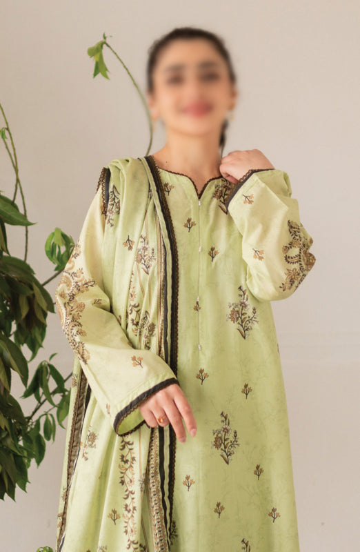 Kaira Embroidered Lawn Collection 2024 By Rashid Textile D 8691