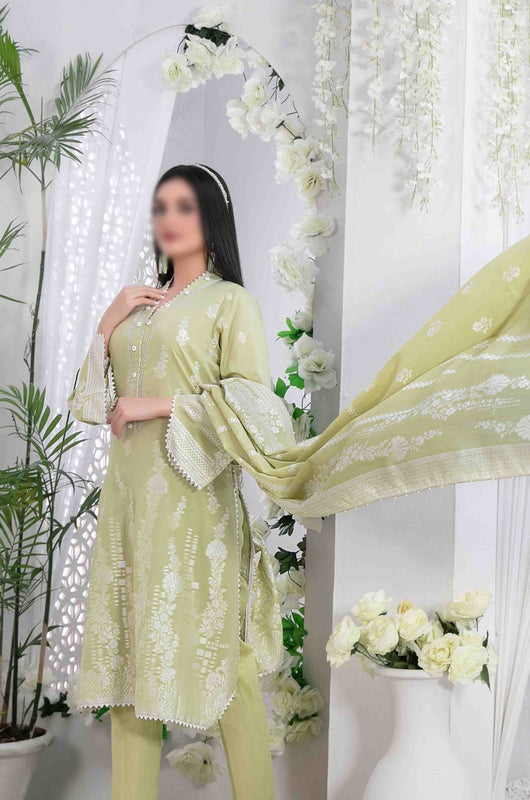 AFRA Lawn Broshia Banarsi Collection 2023 D 9213