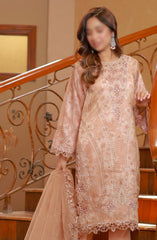 Guzel Naqsh Organza Stitched 3 Piece Collection 03 DEENA