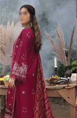 Denara Woolen Shawl and Embroidered Edition By Humdum D-02