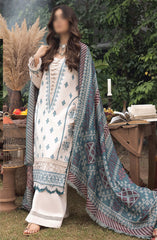 Denara Woolen Shawl and Embroidered Edition By Humdum D-04