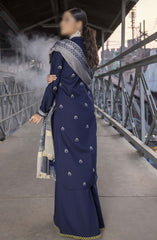 Rahgeer Embroidered Wool Collection By Humdum D-05