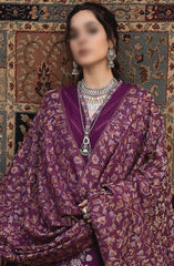 Denara Woolen Shawl and Embroidered Edition By Humdum D-05