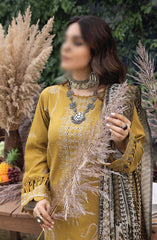 Denara Woolen Shawl and Embroidered Edition By Humdum D-06