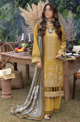 Denara Woolen Shawl and Embroidered Edition By Humdum D-06