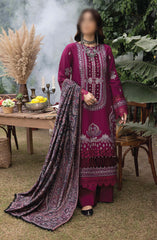 Denara Woolen Shawl and Embroidered Edition By Humdum D-07