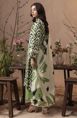 RAYA by Hum Dum Printed Khaddar Collection D-11