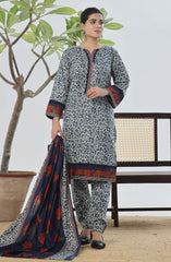 Designer Cotton Lawn 3 Pcs Printed Collection 2024 D-148