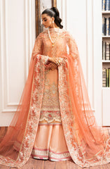 Inayat Luxury Wedding Formals 2024 D-03 SUN-KISSED