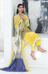 Mashaal Stripe Exclusive Digital Printed Embroidered Lawn Collection D-03