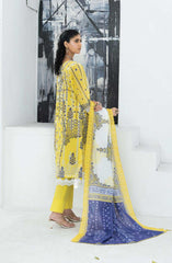 Mashaal Stripe Exclusive Digital Printed Embroidered Lawn Collection D-03