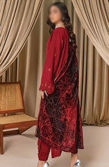 Queen Slub Dhanak Wool Collection With Palachi Shawl D-05