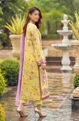 DIVA Embroidered Karandi Collection BY HUMDUM D-09