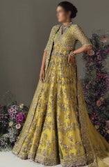 Elan Unstitched 3 Piece Wedding Festive Collection 2024 D-03 LIME BLOSSOM