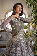 Elaf Celebration Formal Handwork Collection 2024 D-02 Nazneen