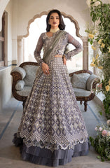 Elaf Celebration Formal Handwork Collection 2024 D-02 Nazneen