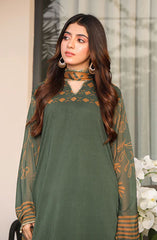 Jahanara Festive Stitched 2 Pc Collection By Nazmina D-760 Sirius Shift Dress