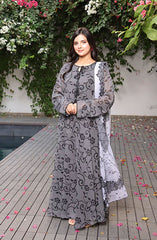 Jahanara Festive Stitched 2 Pc Collection By Nazmina D-87 Romantic Maxi Dress