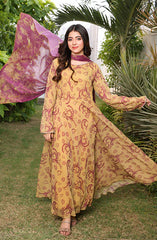 Jahanara Festive Stitched 2 Pc Collection By Nazmina D-90 Whimsical A-Line Dress