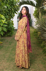 Jahanara Festive Stitched 2 Pc Collection By Nazmina D-90 Whimsical A-Line Dress