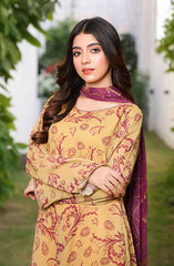 Jahanara Festive Stitched 2 Pc Collection By Nazmina D-90 Whimsical A-Line Dress