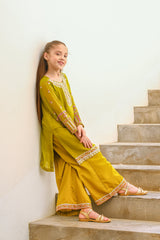 Anaya - 2ps Embroidered