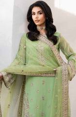 Tarz by Freesia Luxury Chiffon Collection 2025 D-40043
