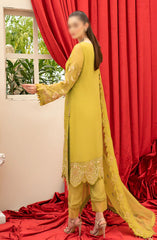 Razab Hayat Luxury Formal Collection D-404RHLF 24 D-4043