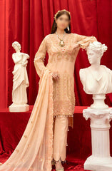 Razab Hayat Luxury Formal Collection D-404RHLF 24 D-4044