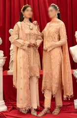 Razab Hayat Luxury Formal Collection D-404RHLF 24 D-4044