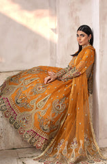 Abrish Luxury Formal Collection By Diara Couture D-DF-03 INAYA